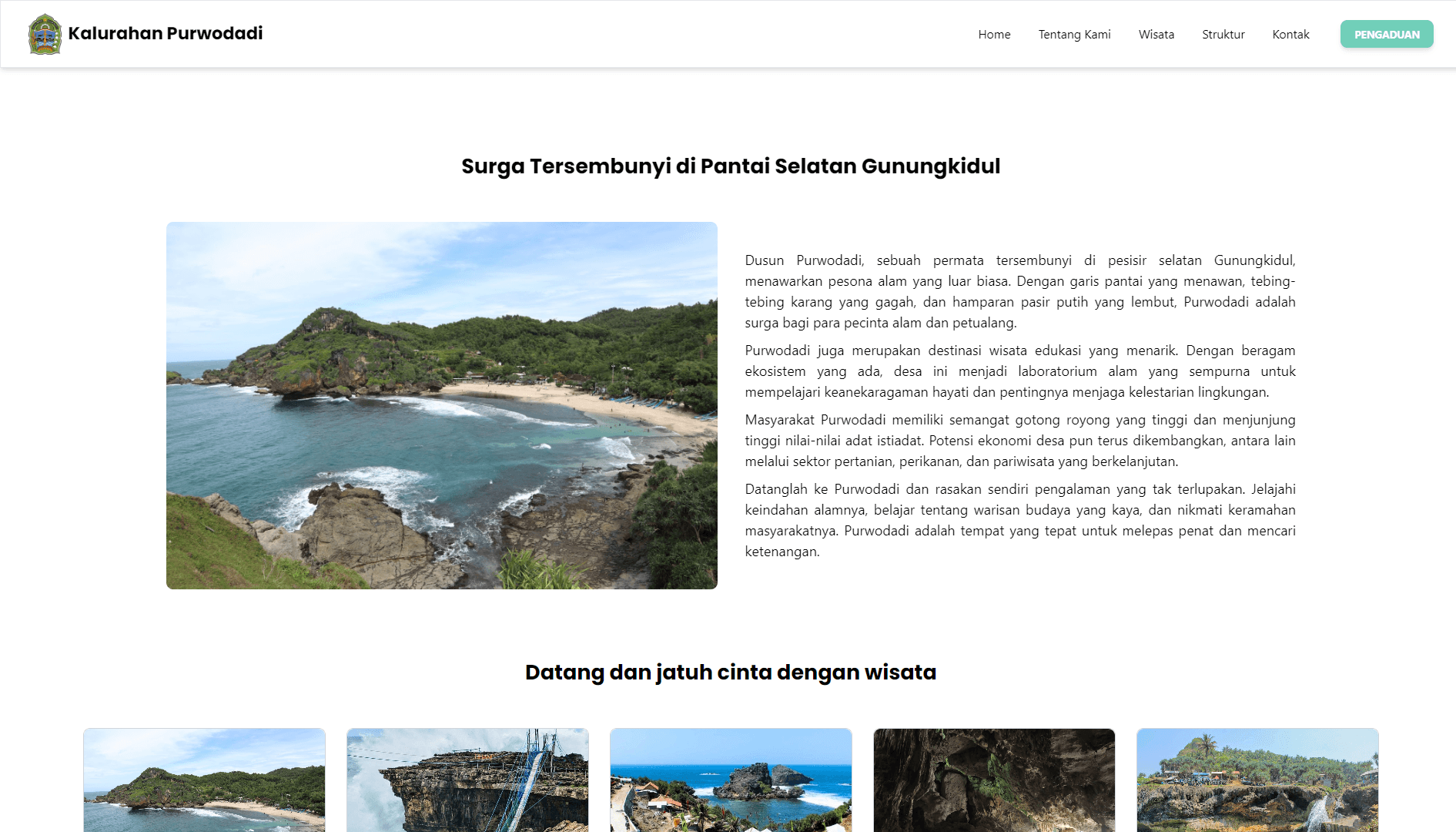 Website Pengaduan Masyarakat gallery image 2